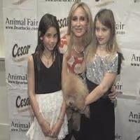 TV: Puppy Love Yappy Hour